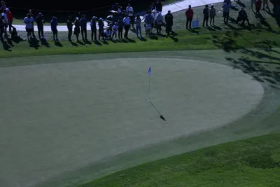 DSC_0736 (Large).JPG